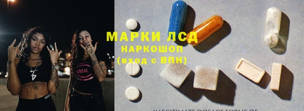 ГАЛЛЮЦИНОГЕННЫЕ ГРИБЫ Строитель