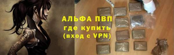 ГАЛЛЮЦИНОГЕННЫЕ ГРИБЫ Строитель