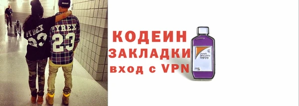 ГАЛЛЮЦИНОГЕННЫЕ ГРИБЫ Строитель