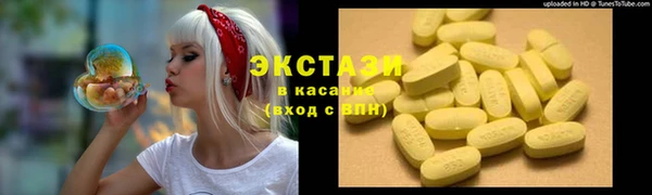 ГАЛЛЮЦИНОГЕННЫЕ ГРИБЫ Строитель