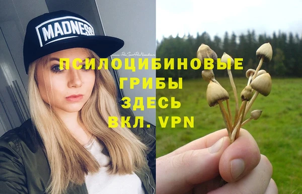 ГАЛЛЮЦИНОГЕННЫЕ ГРИБЫ Строитель
