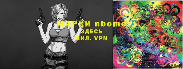 ГАЛЛЮЦИНОГЕННЫЕ ГРИБЫ Строитель