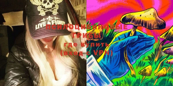 молекула духа Струнино
