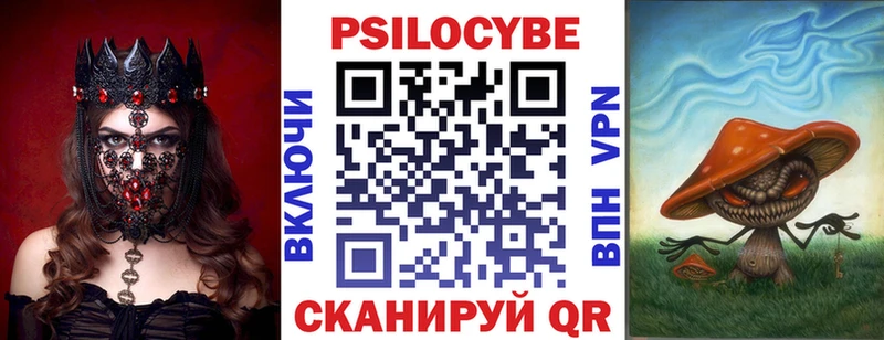 закладки  Владивосток  Галлюциногенные грибы Cubensis 