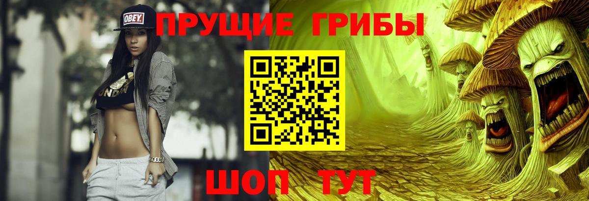 Владивосток  Псилоцибиновые грибы мицелий  Вход с VPN 